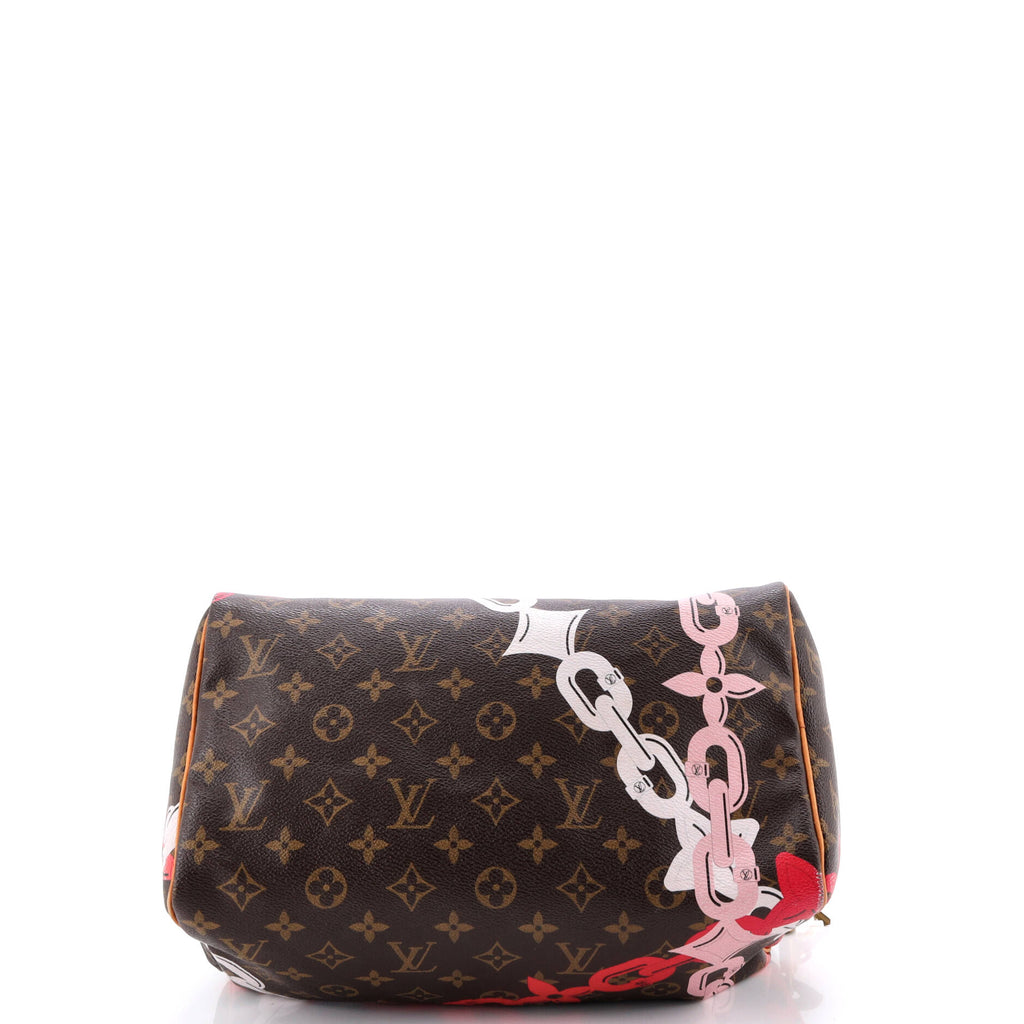 Speedy Handbag Limited Edition Bay Monogram Canvas 30