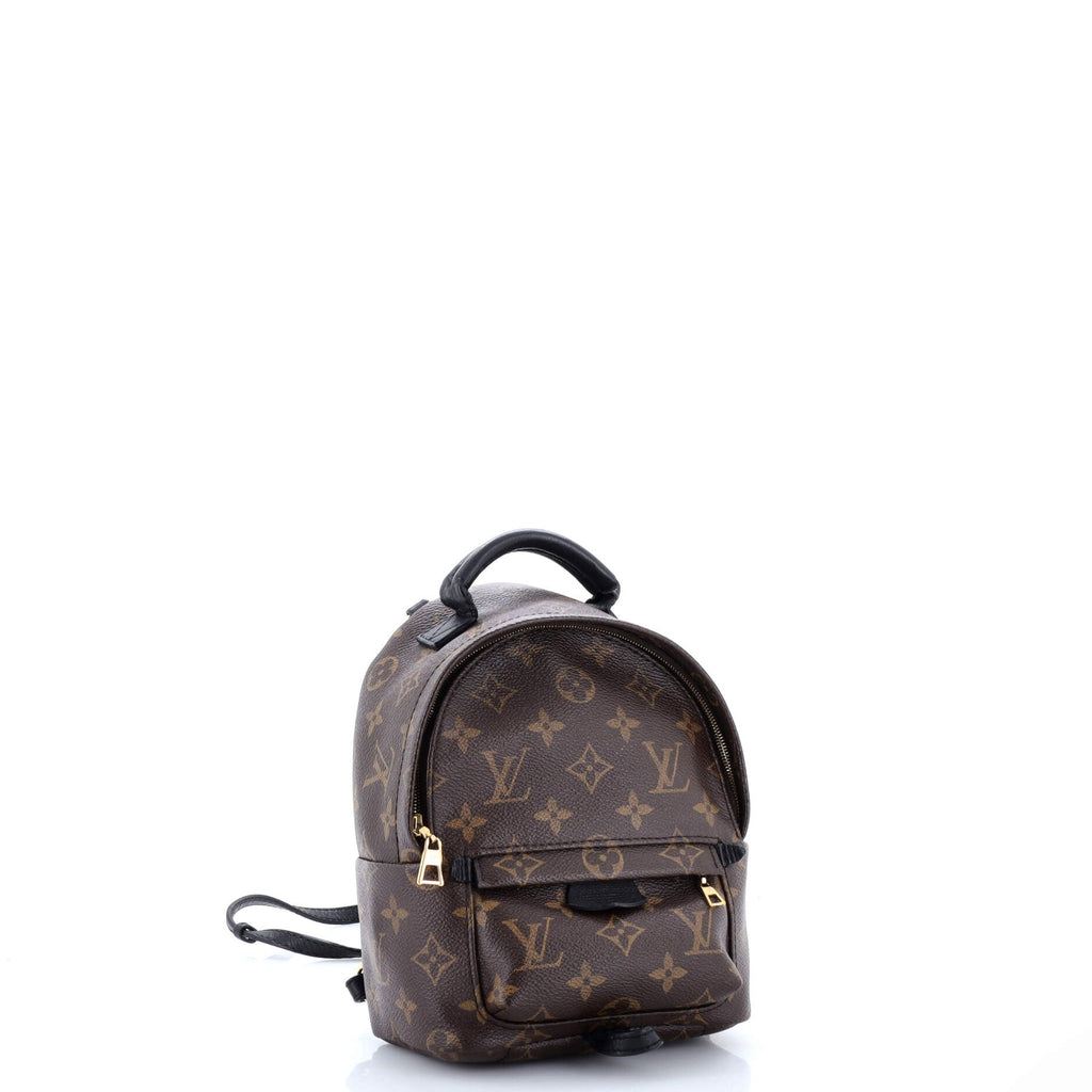 Palm Springs Backpack Monogram Canvas Mini