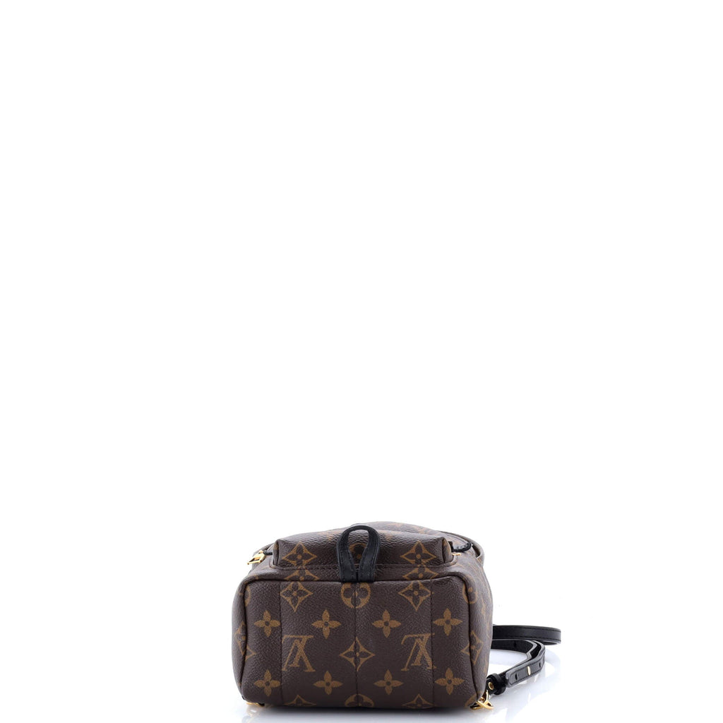Palm Springs Backpack Monogram Canvas Mini