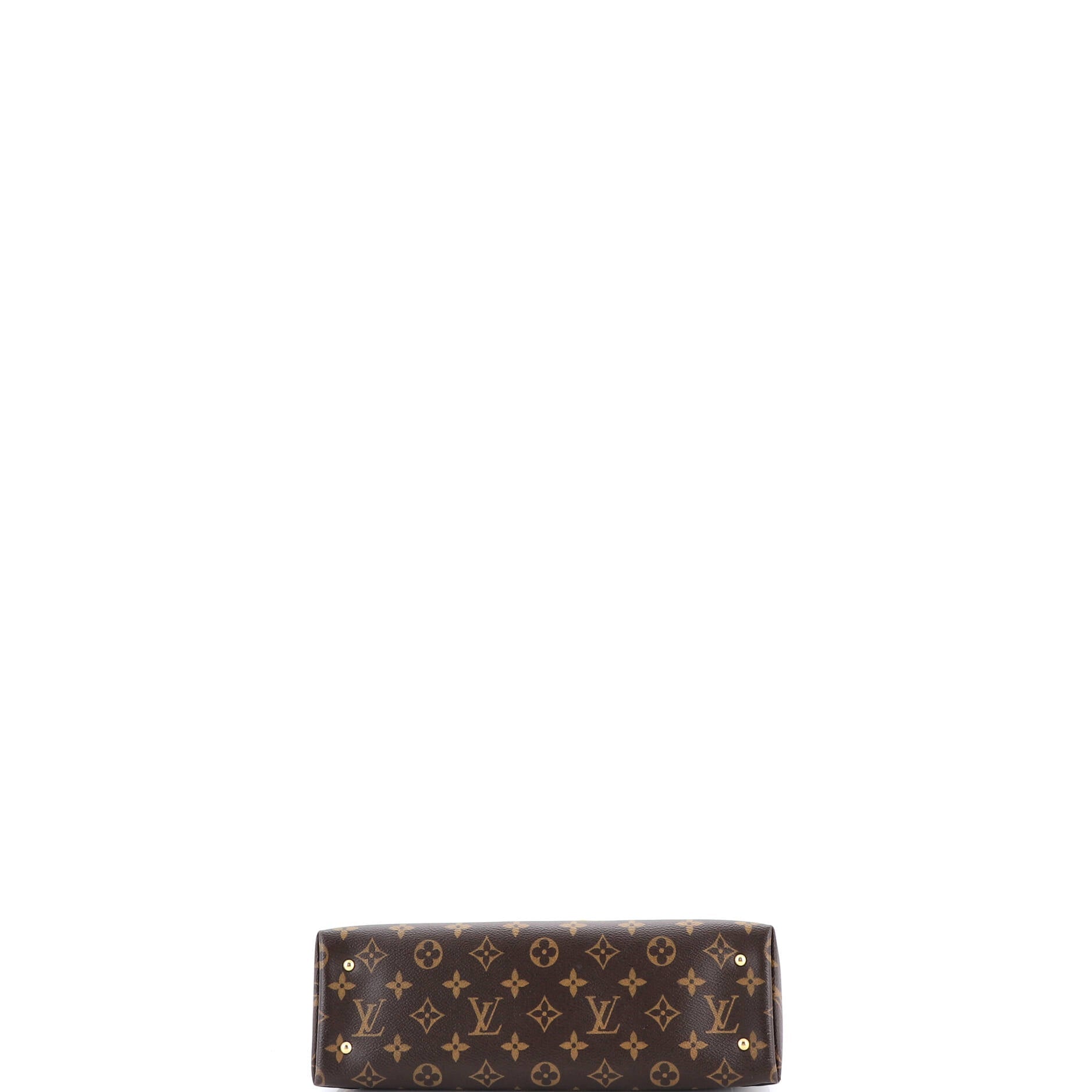 Sac Triangle Handbag Monogram Canvas PM