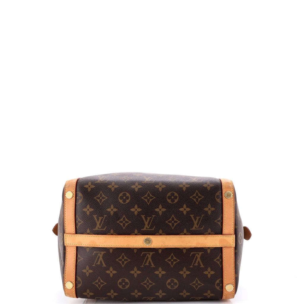 Marais Handbag Monogram Canvas MM