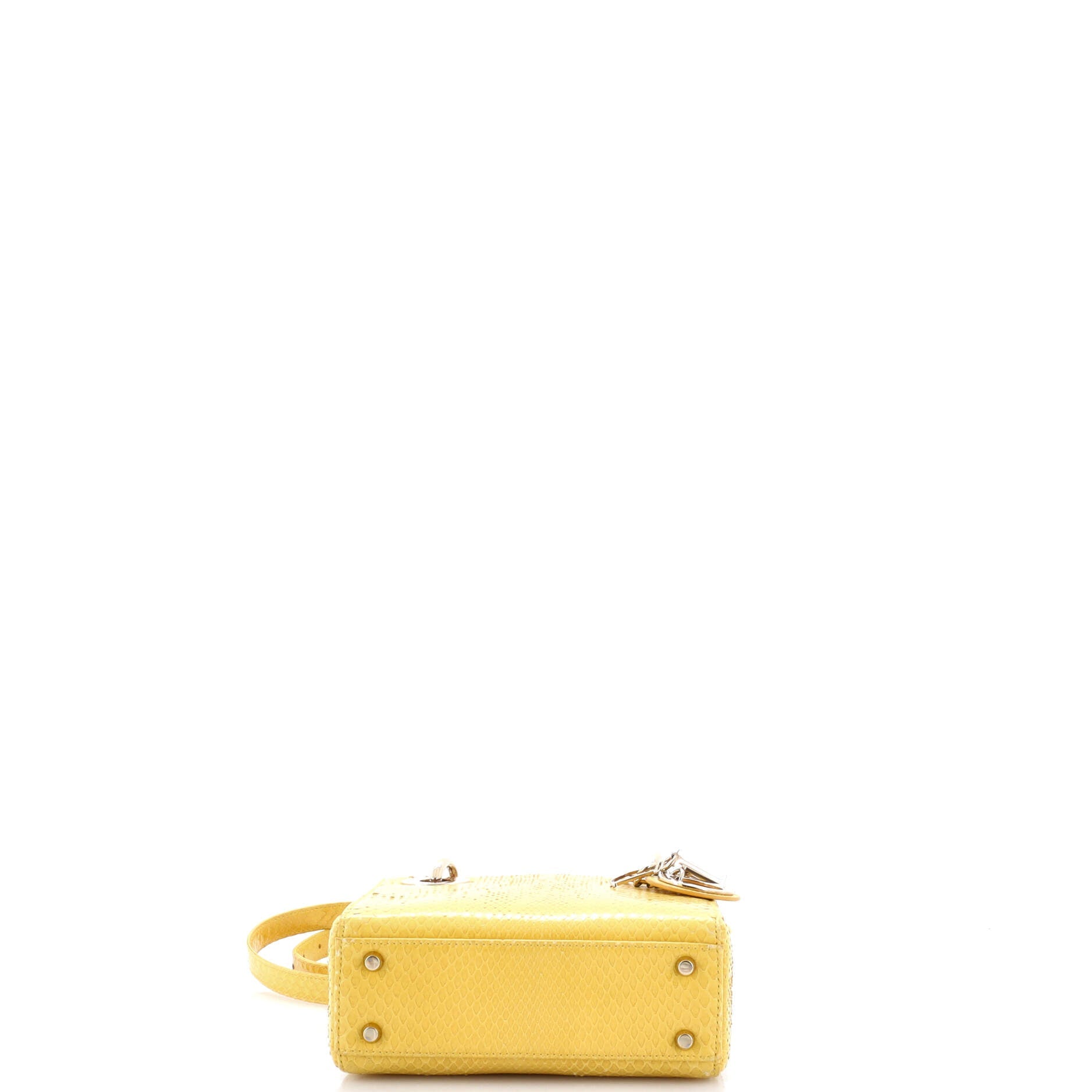 Lady Dior Bag Python Mini
