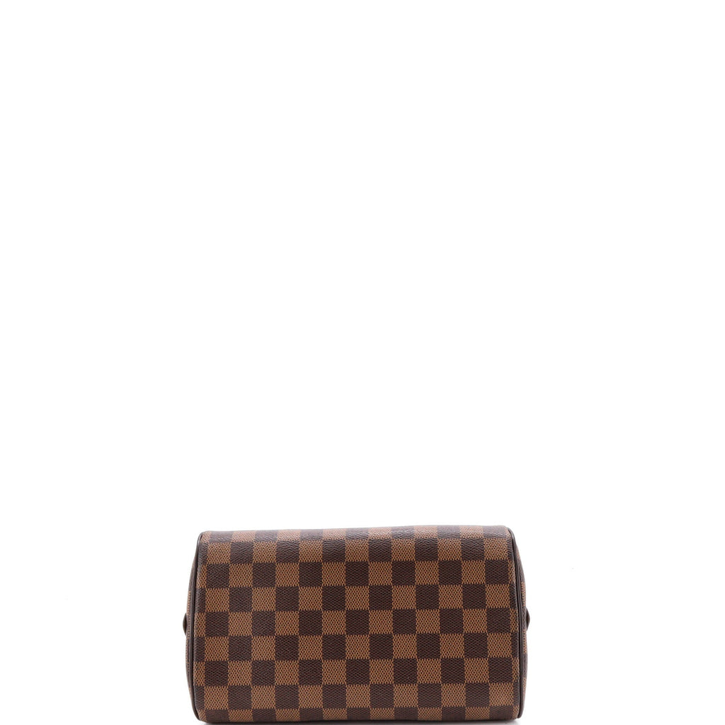 Ribera Handbag Damier Mini