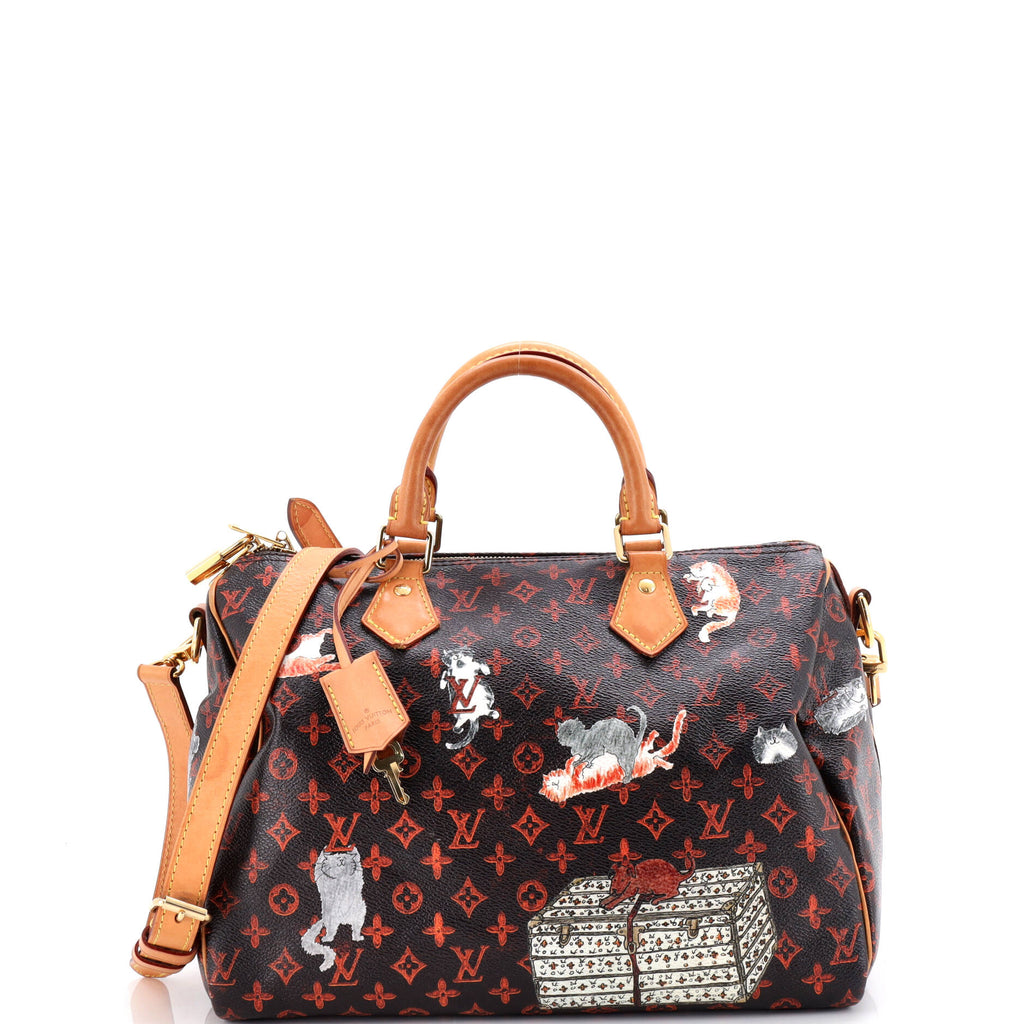 Speedy Bandouliere Bag Limited Edition Grace Coddington Catogram Canvas 30