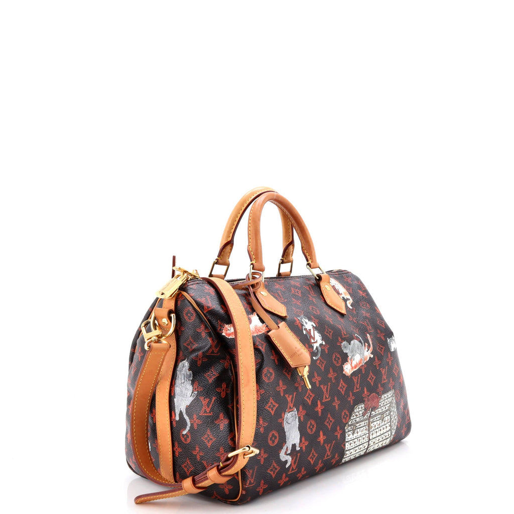 Speedy Bandouliere Bag Limited Edition Grace Coddington Catogram Canvas 30