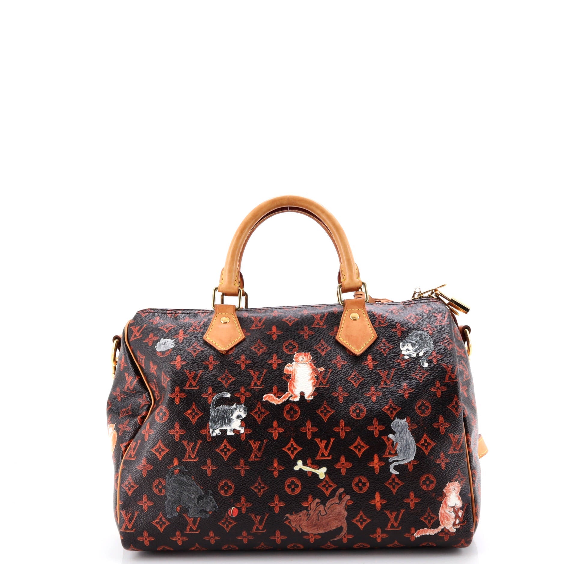 Speedy Bandouliere Bag Limited Edition Grace Coddington Catogram Canvas 30