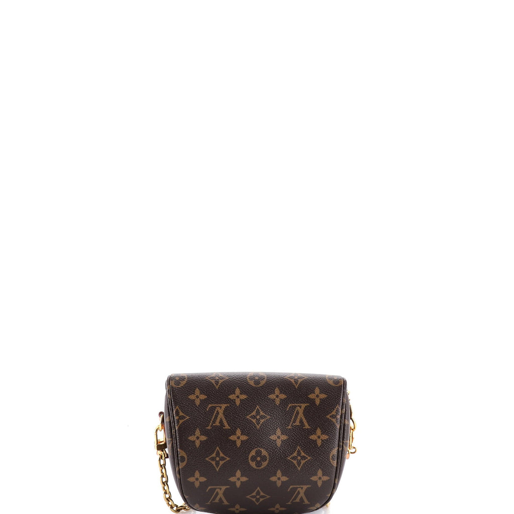 Bum Bag Monogram Canvas Mini