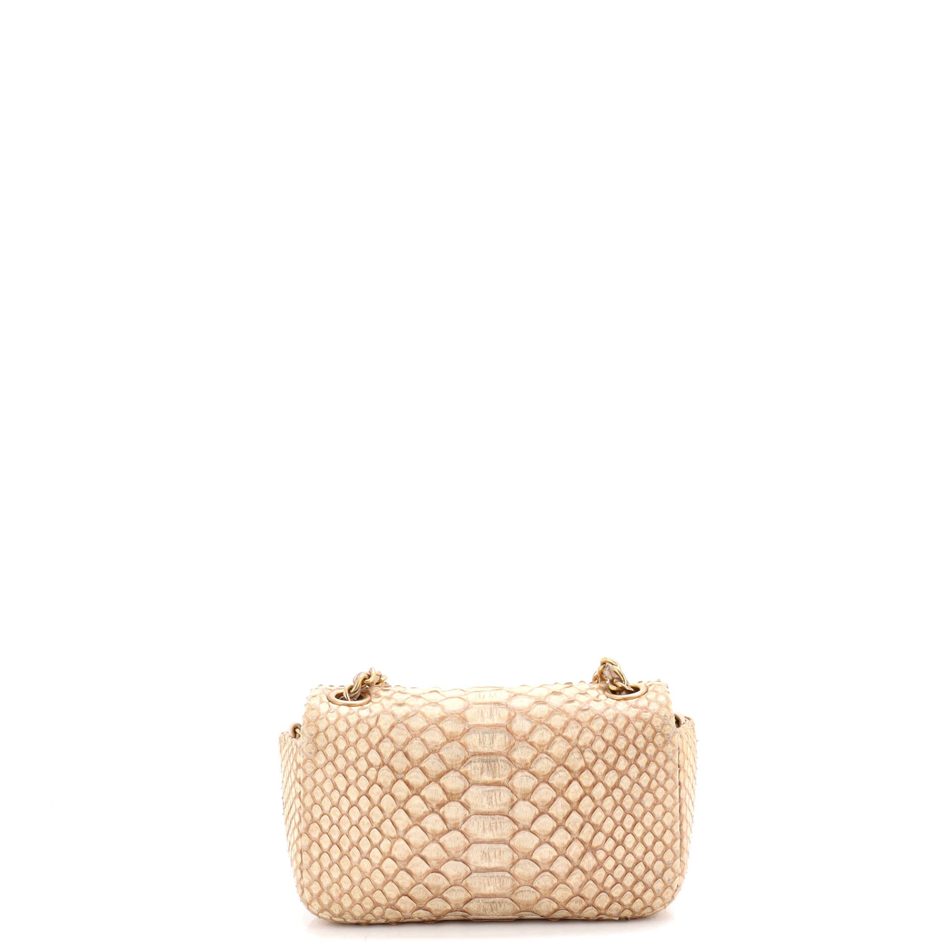 Classic Single Flap Bag Python Extra Mini