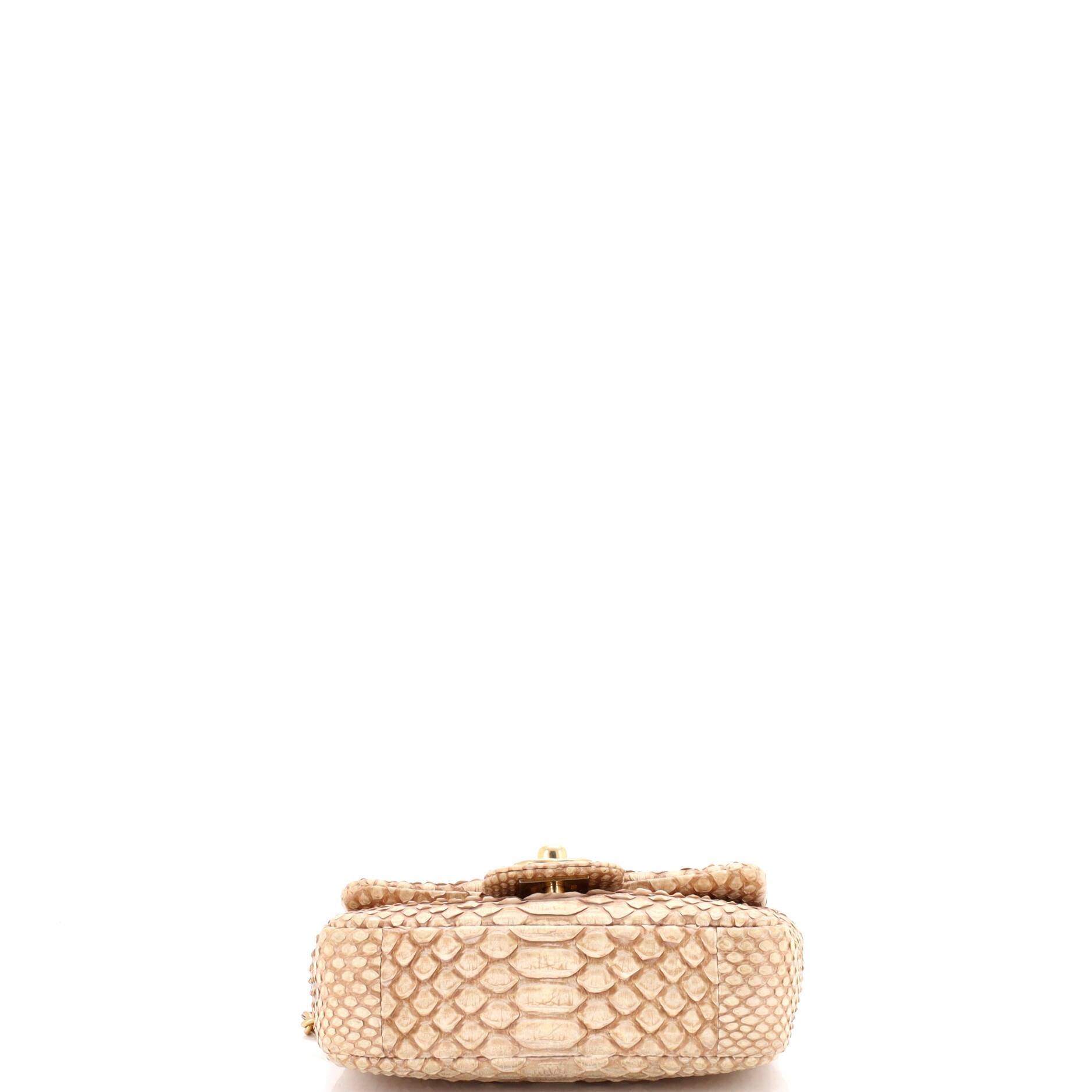 Classic Single Flap Bag Python Extra Mini