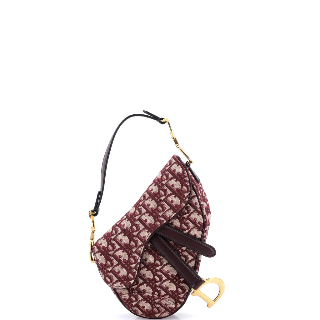 Saddle Handbag Oblique Canvas Mini