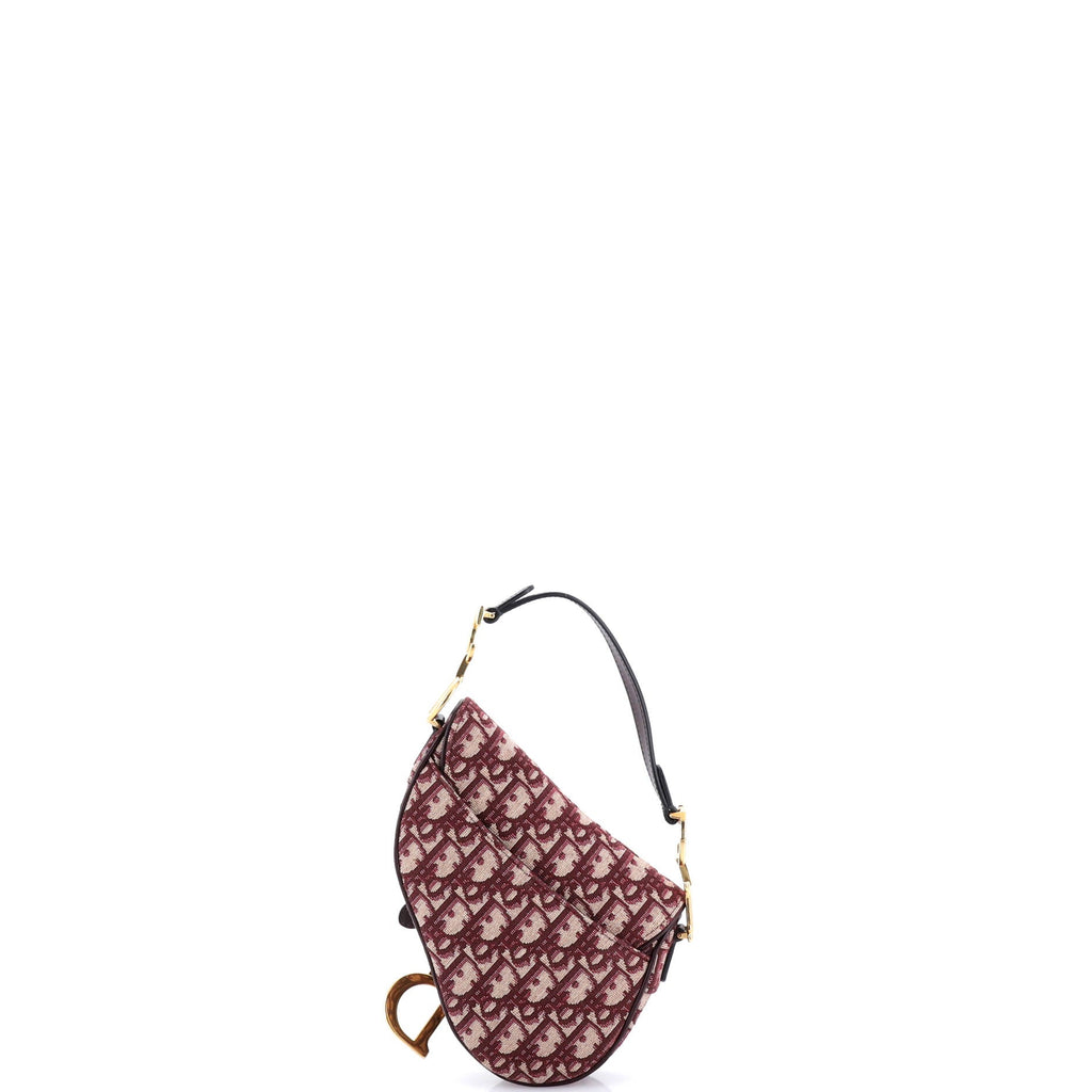 Saddle Handbag Oblique Canvas Mini