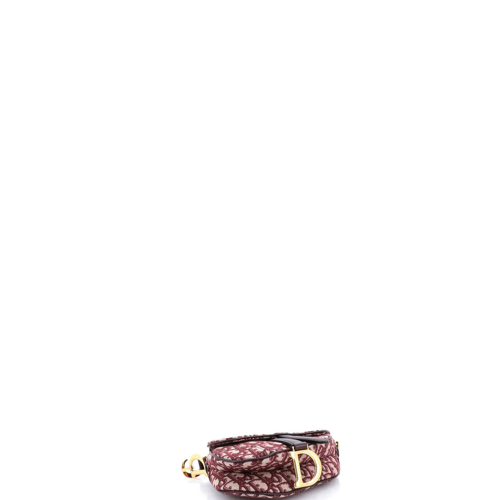 Saddle Handbag Oblique Canvas Mini