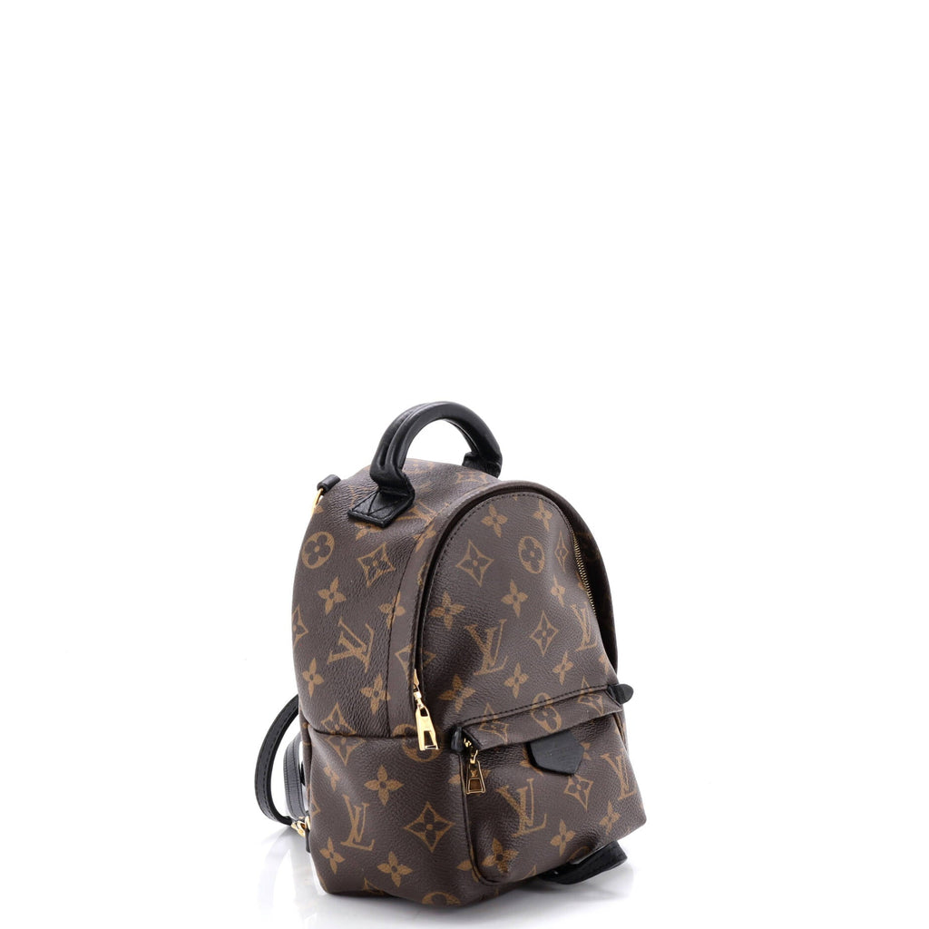 Palm Springs Backpack Monogram Canvas Mini