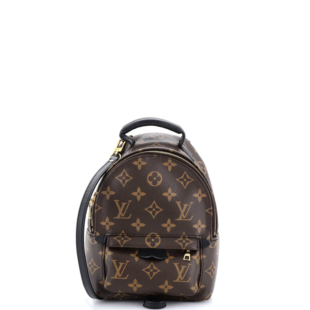 Palm Springs Backpack Monogram Canvas Mini
