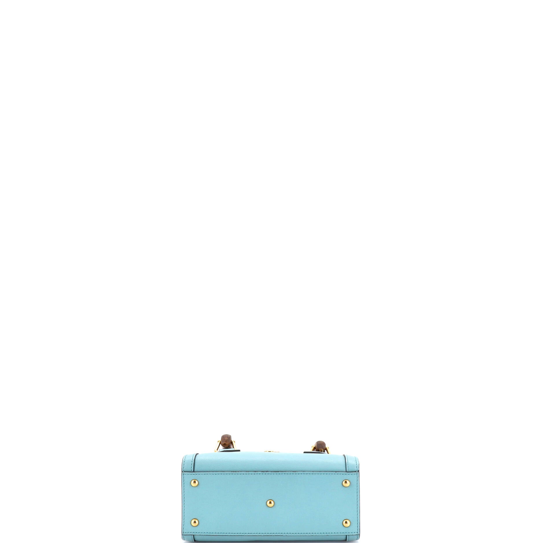 Diana NM Bamboo Handle Tote Leather Mini