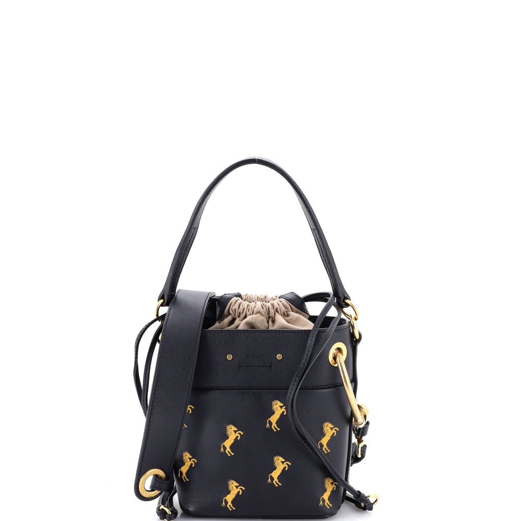 Roy Bucket Bag Embroidered Leather Mini