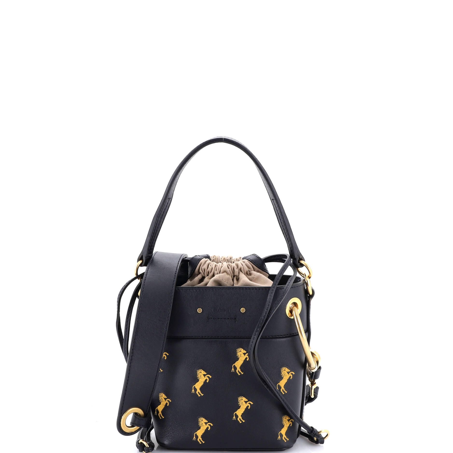Roy Bucket Bag Embroidered Leather Mini