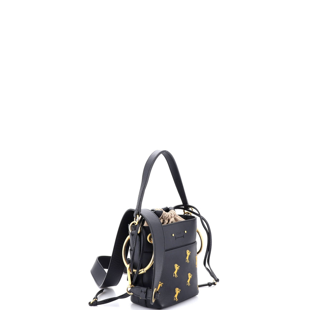 Roy Bucket Bag Embroidered Leather Mini
