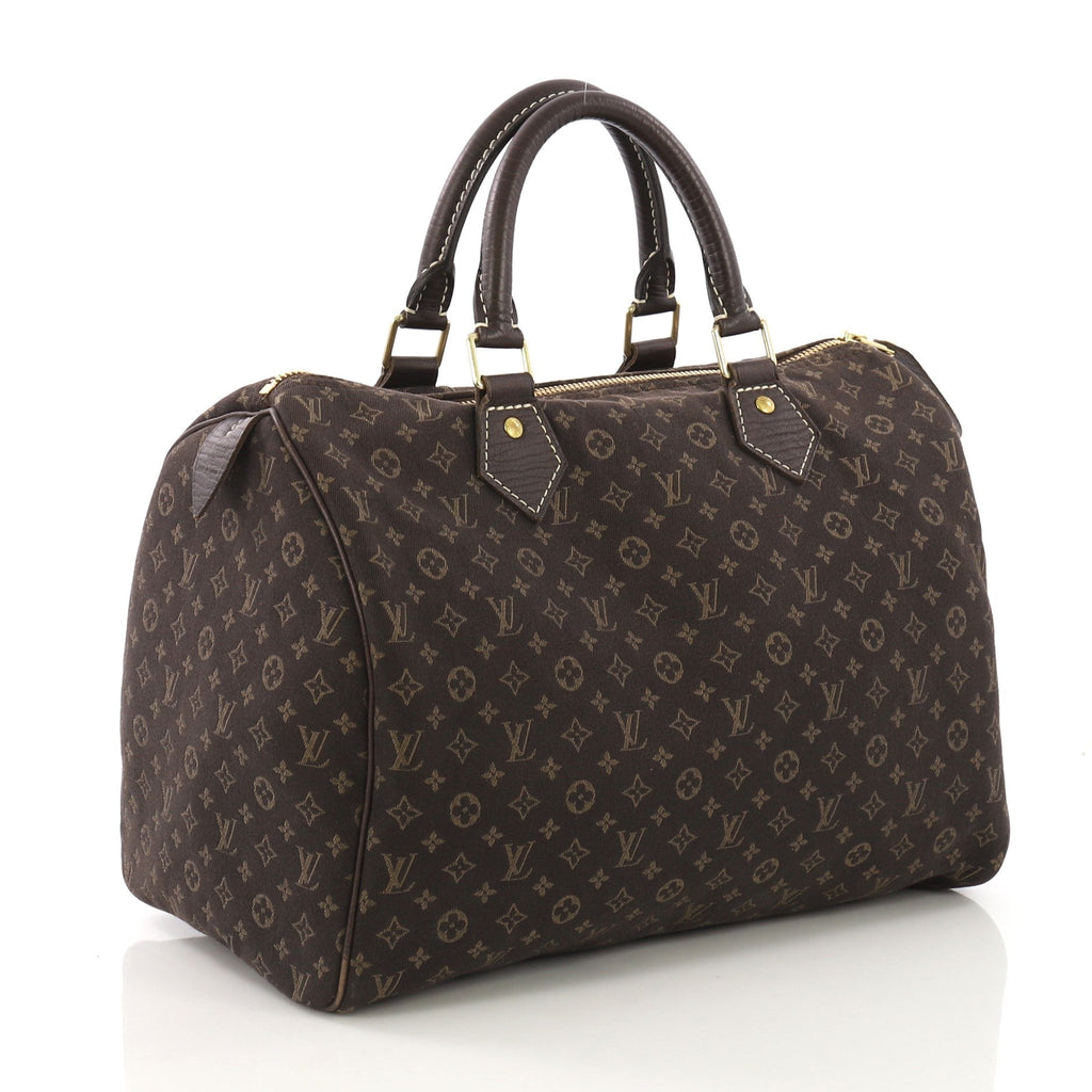 Speedy Handbag Mini Lin 30