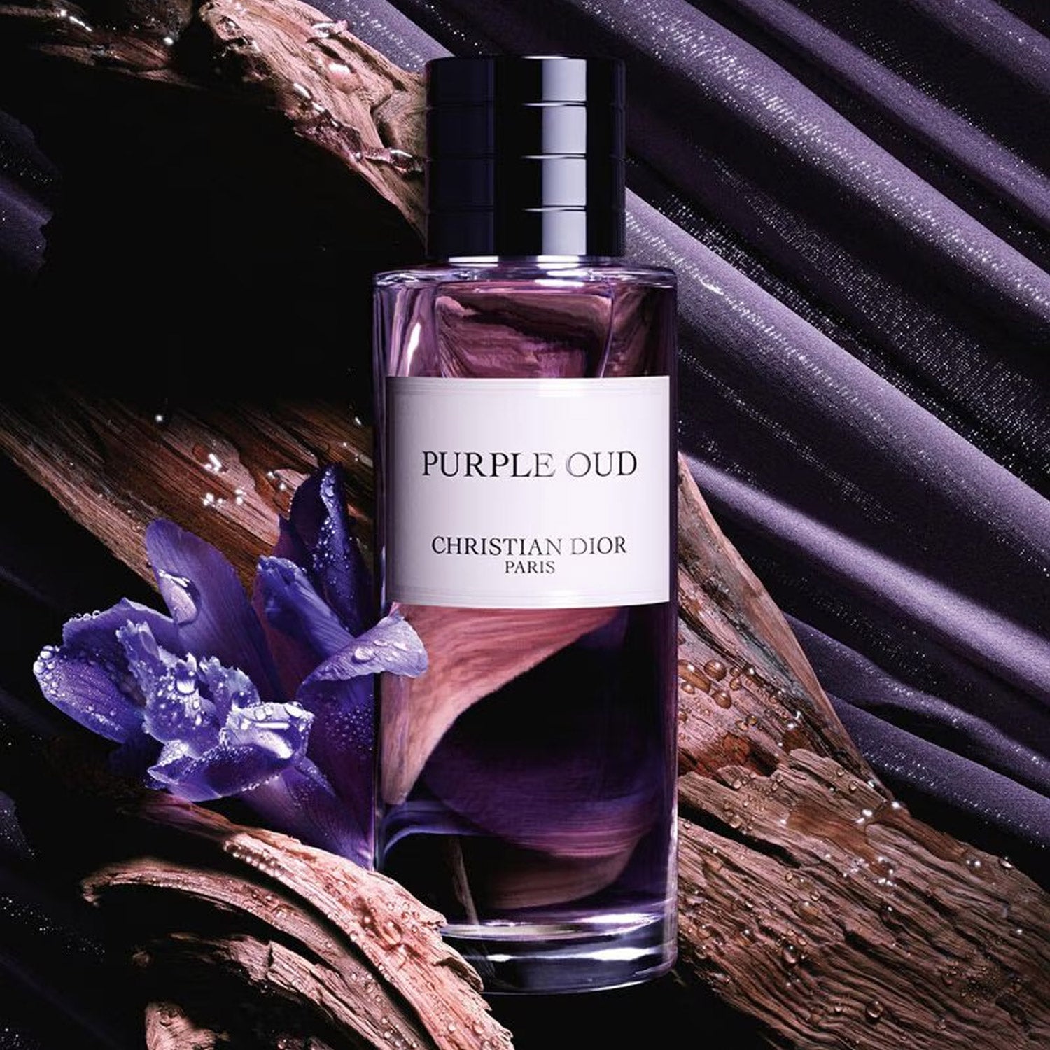 CD PURPLE OUD EDP 200ML
