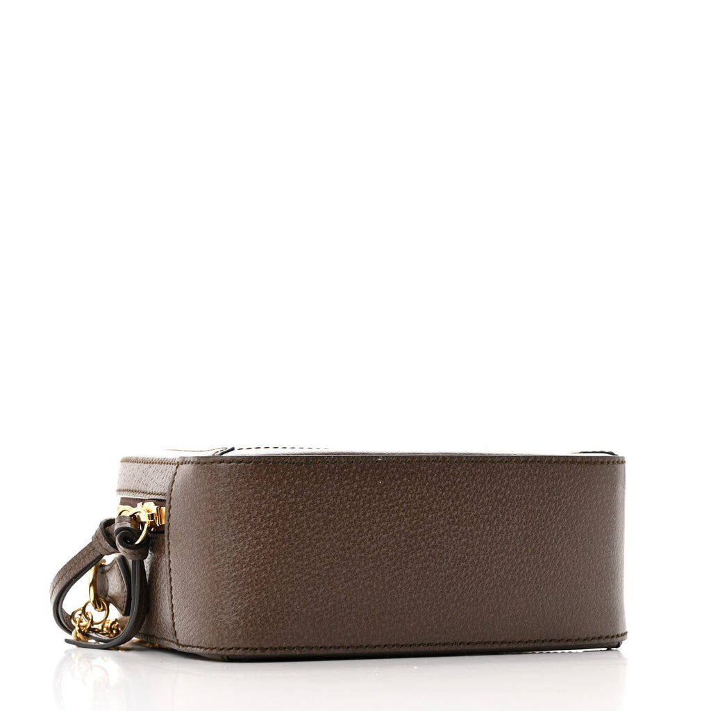 GG Supreme Monogram Mini Ophidia Top Handle Shoulder Bag Brown