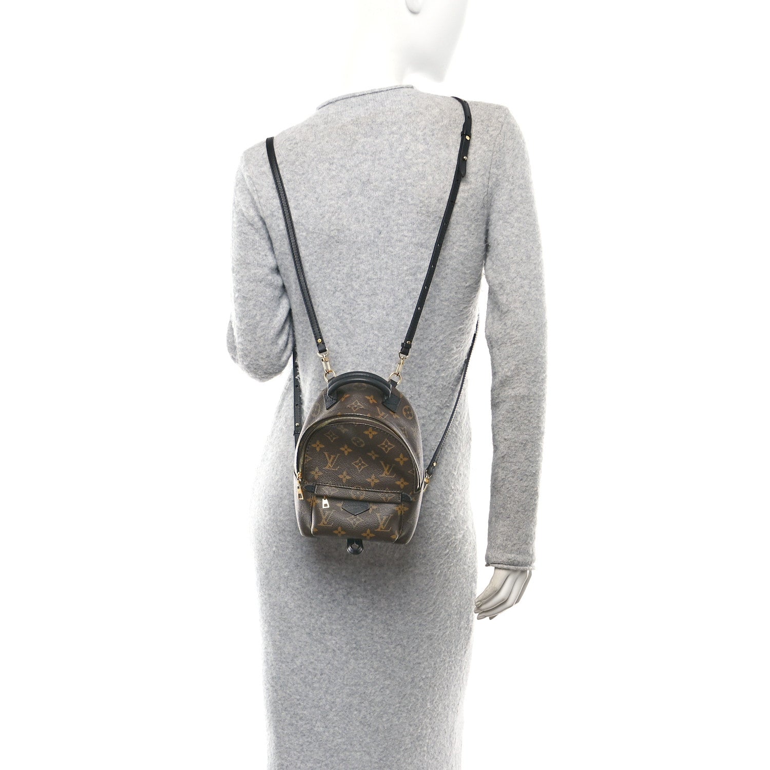 Monogram Palm Springs Backpack Mini