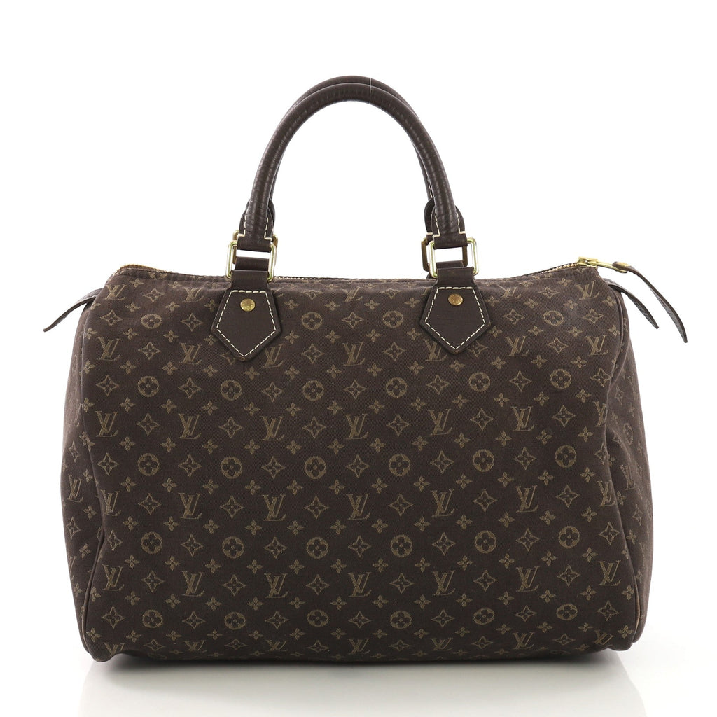 Speedy Handbag Mini Lin 30