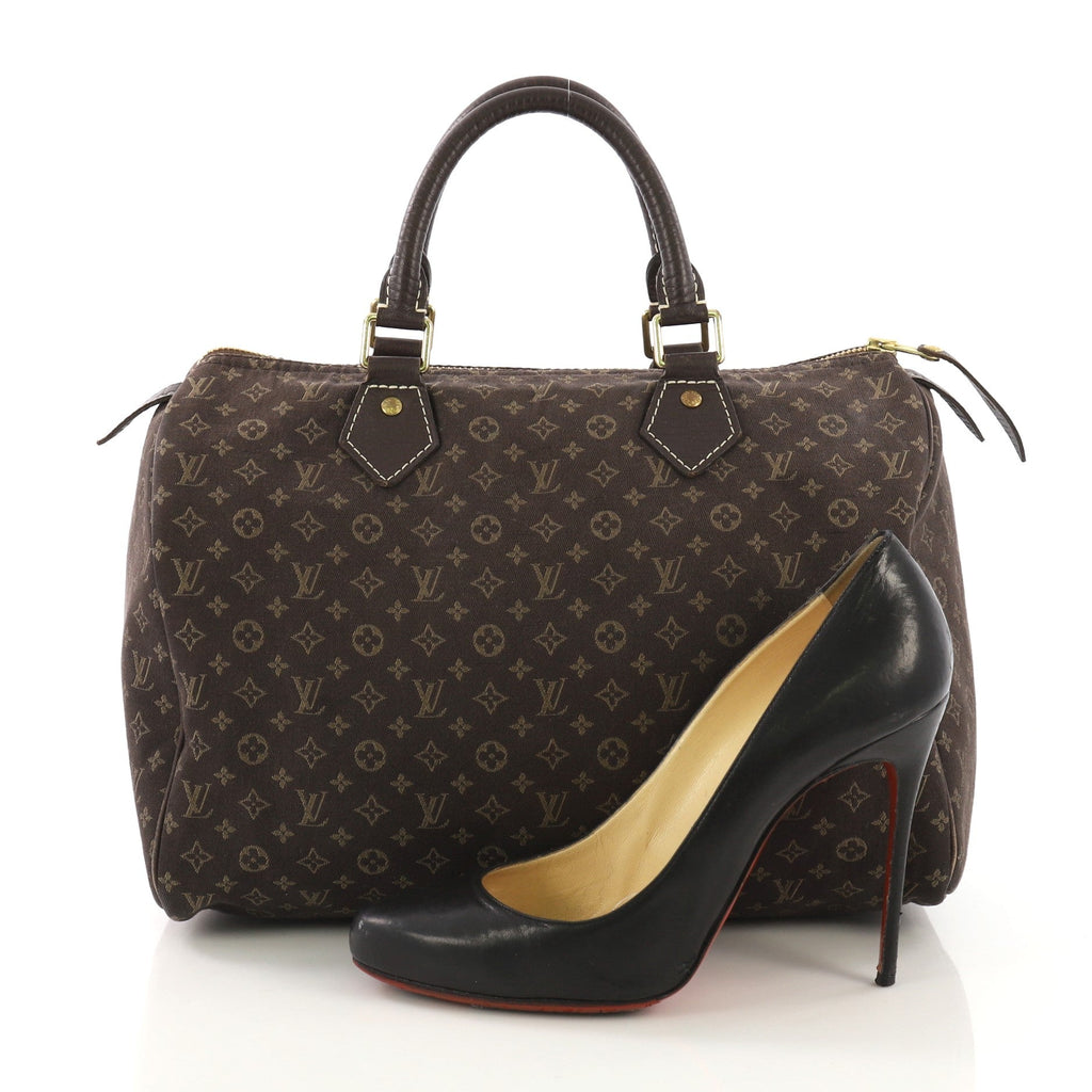 Speedy Handbag Mini Lin 30