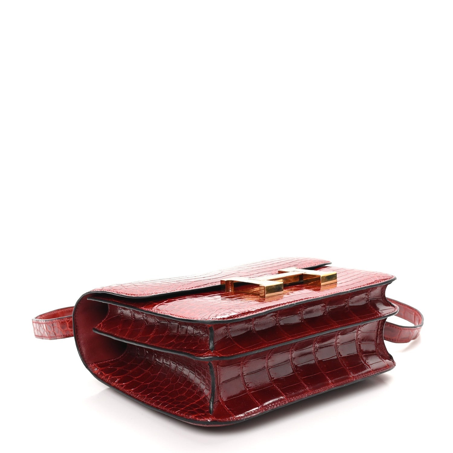 Shiny Niloticus Crocodile Lizard Marquette Constance 24 Rouge H