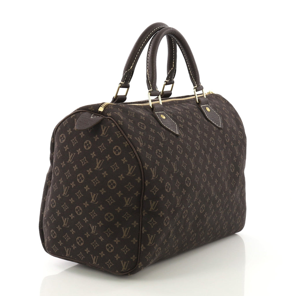 Speedy Handbag Mini Lin 30