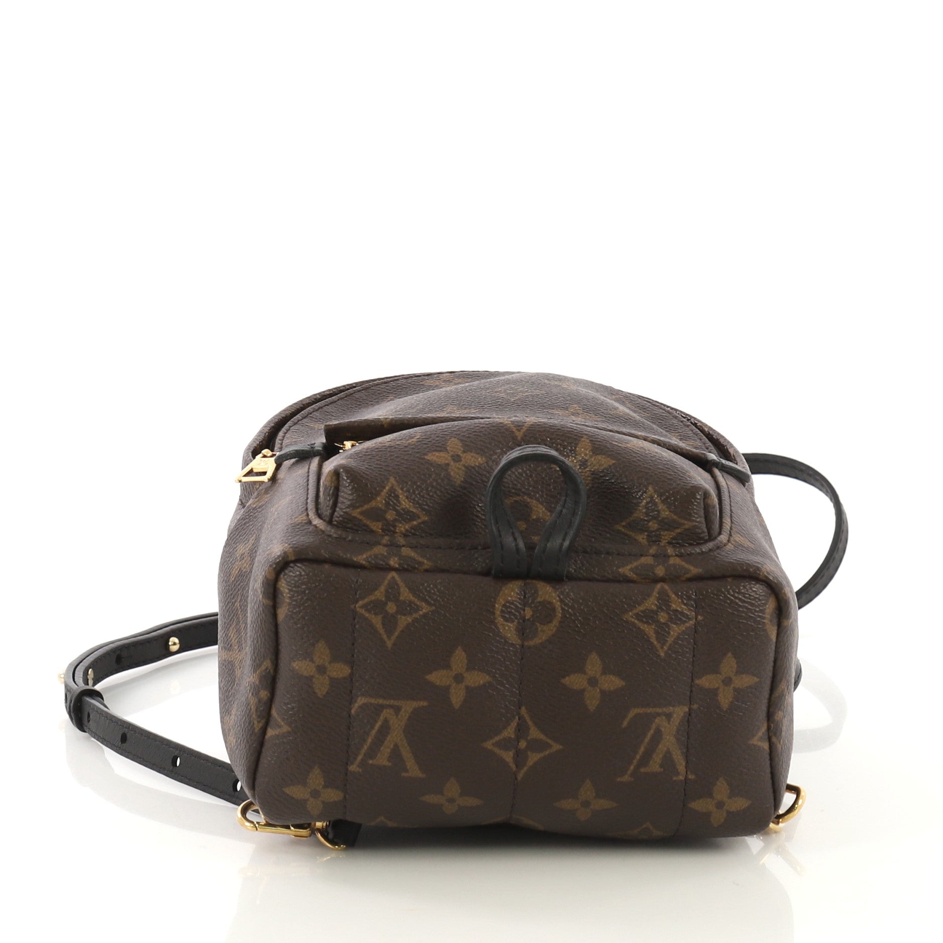 Palm Springs Backpack Monogram Canvas Mini