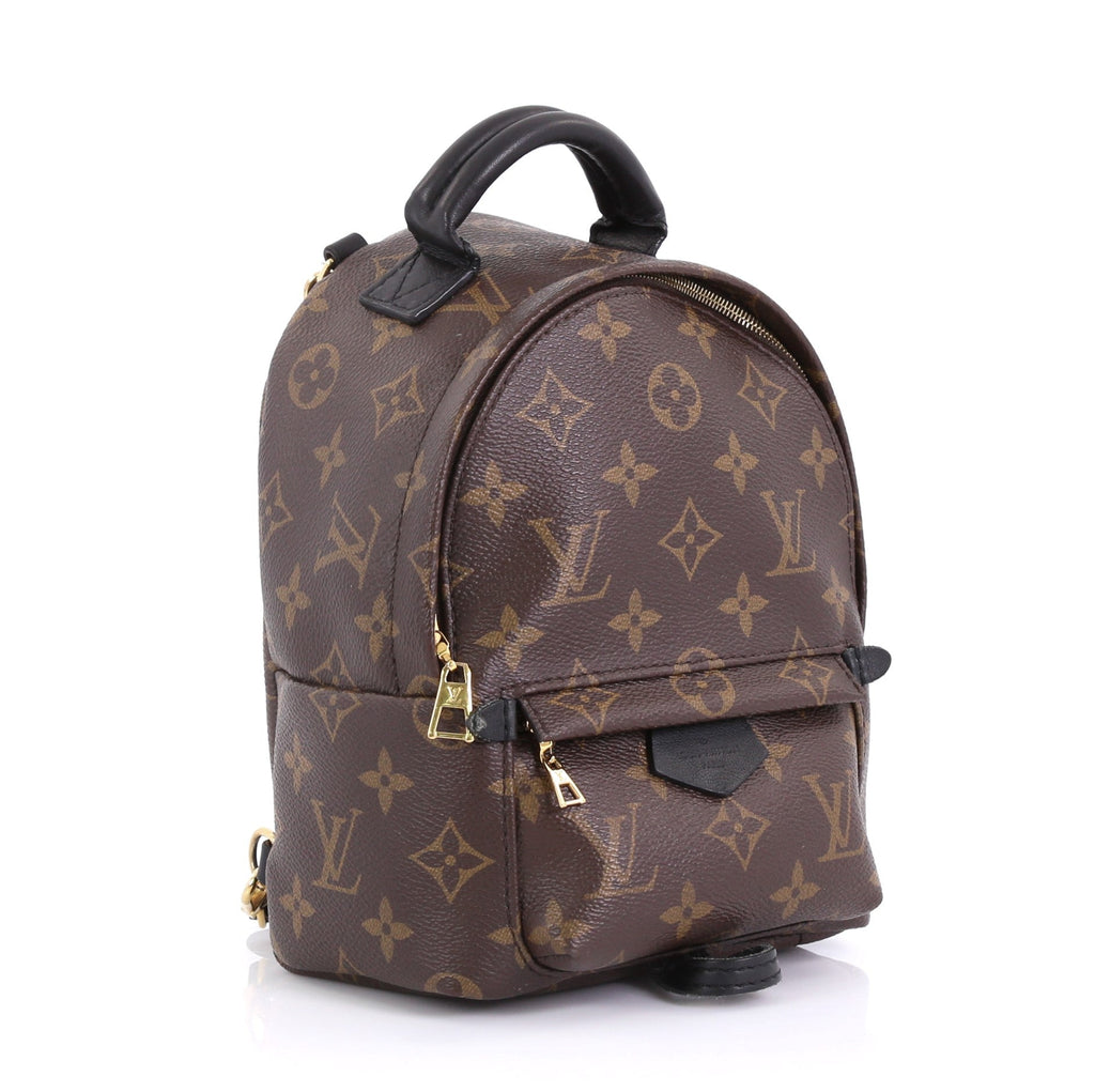 Palm Springs Backpack Monogram Canvas Mini