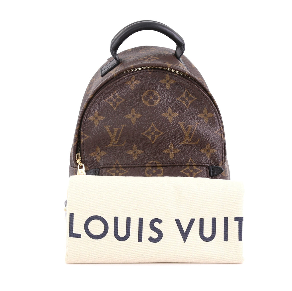 Palm Springs Backpack Monogram Canvas Mini