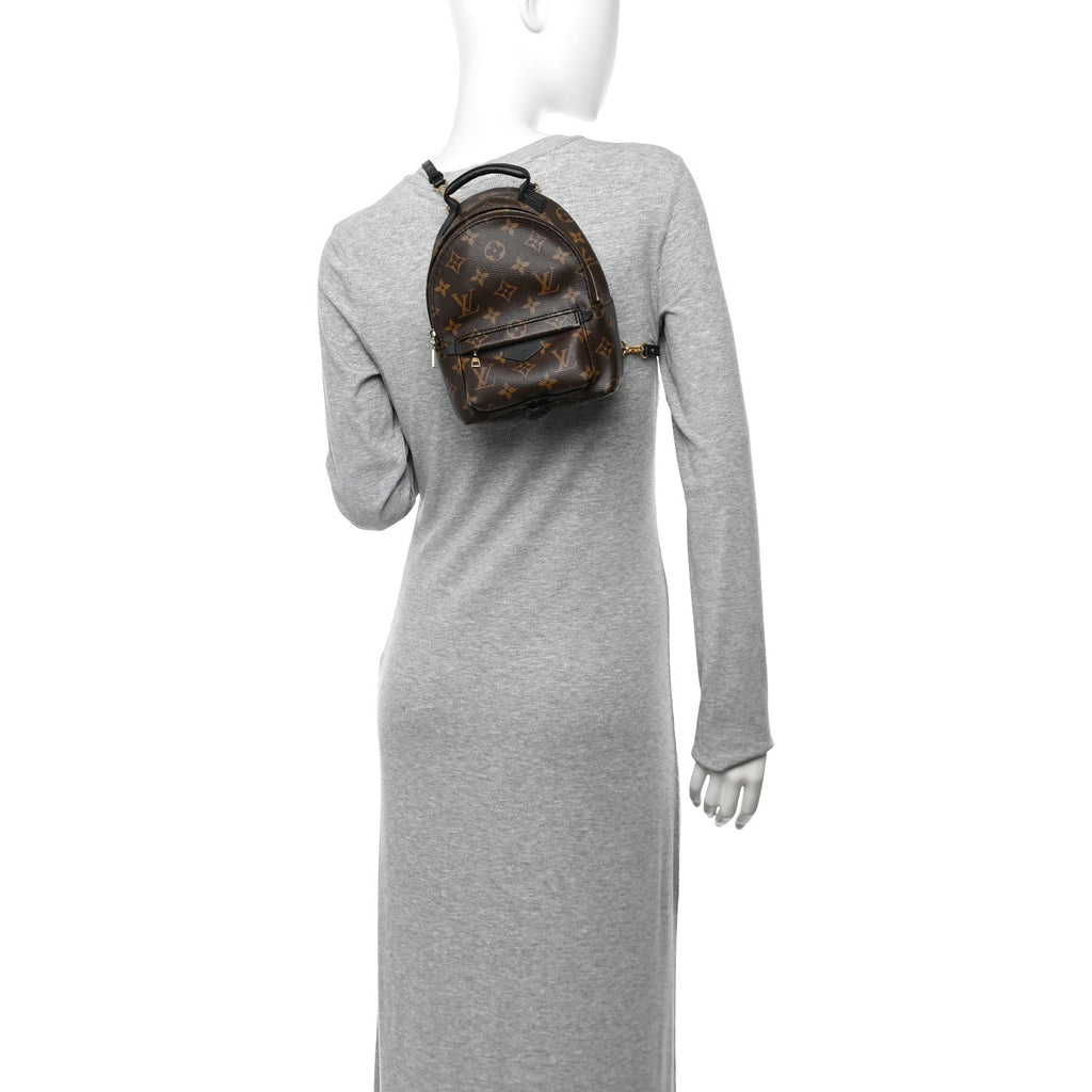 Monogram Palm Springs Backpack Mini