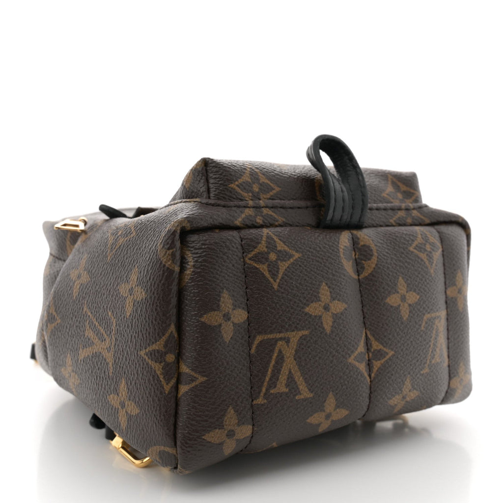 Monogram Palm Springs Backpack Mini