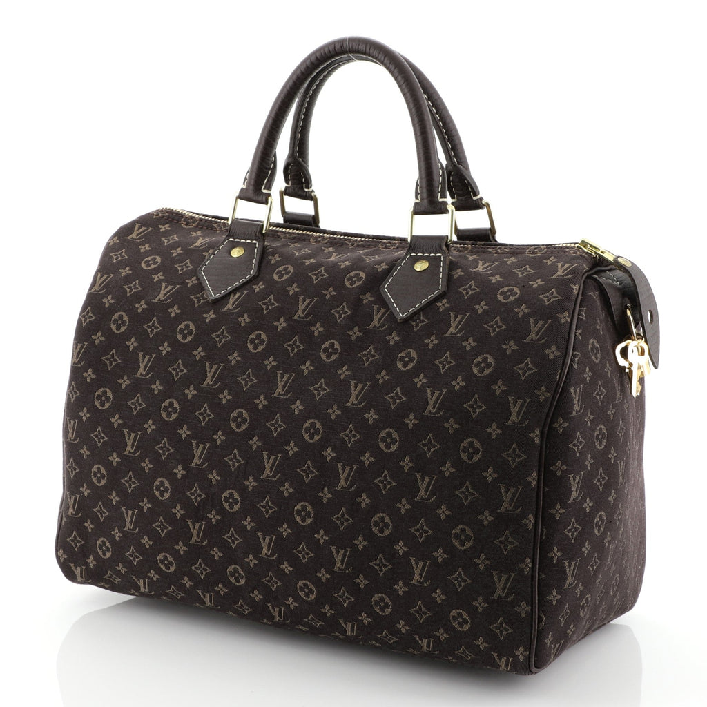 Speedy Handbag Mini Lin 30