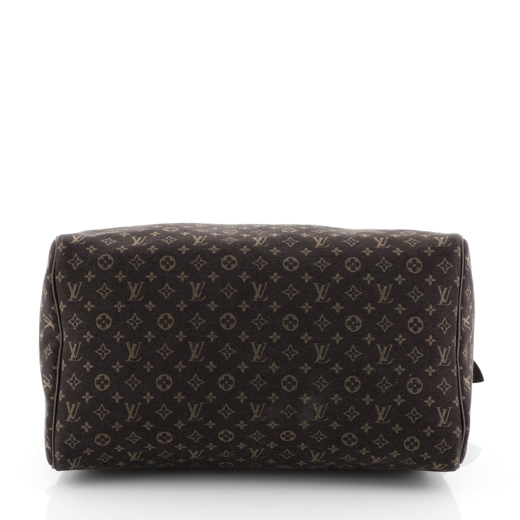 Speedy Handbag Mini Lin 30