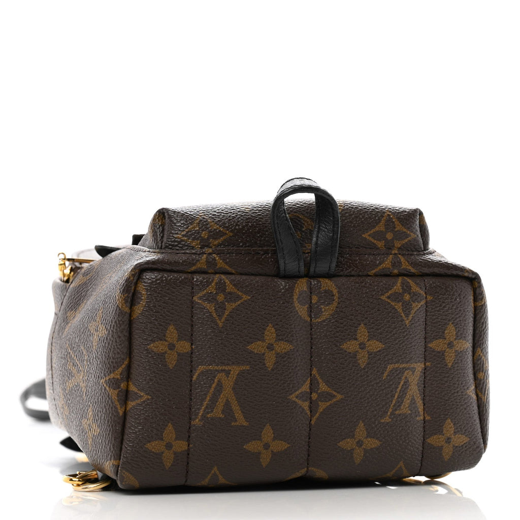 Monogram Palm Springs Backpack Mini