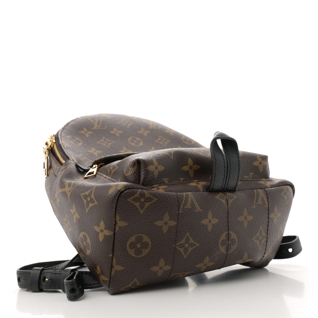 Monogram Palm Springs Backpack PM