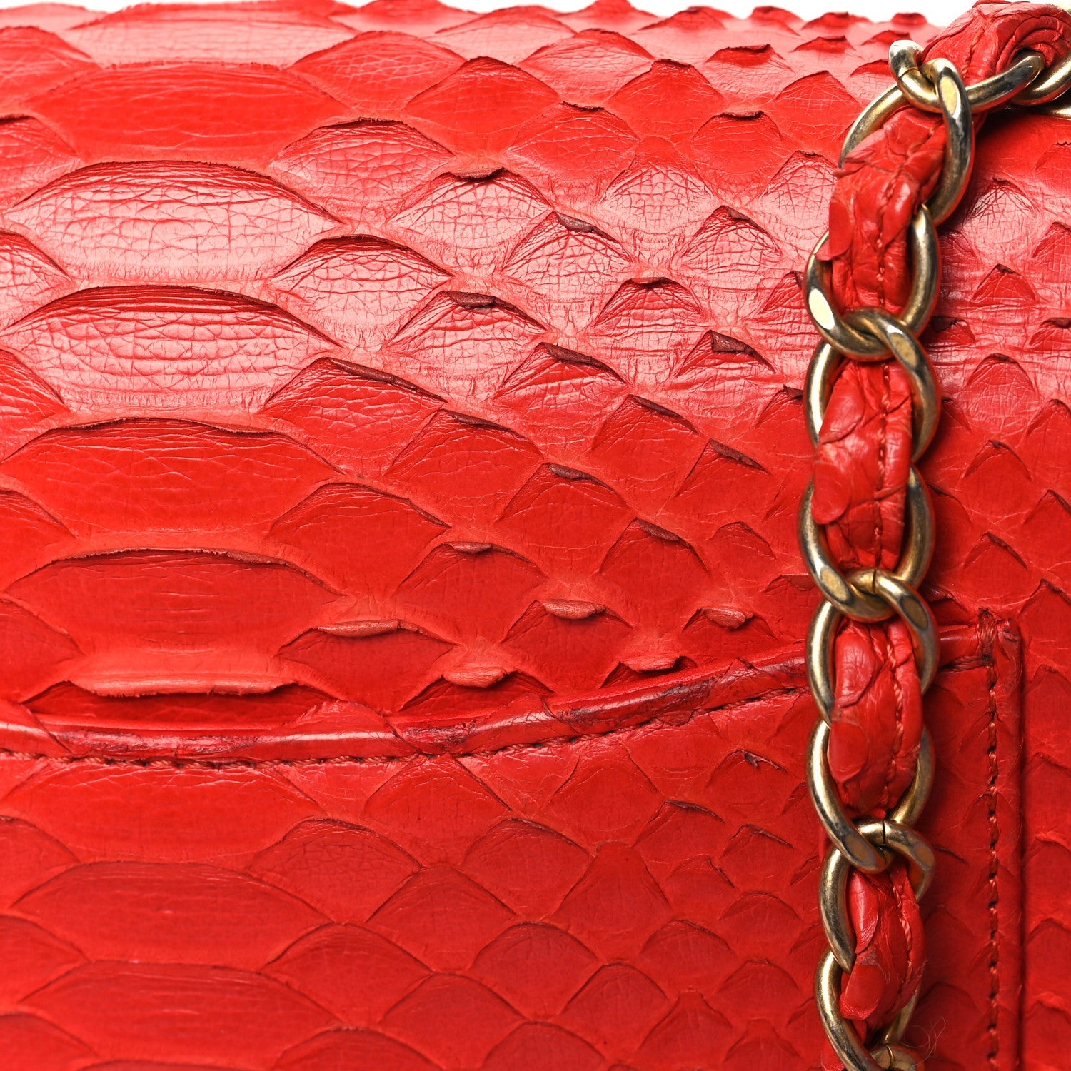 Snakeskin Mini Rectangular Flap Red