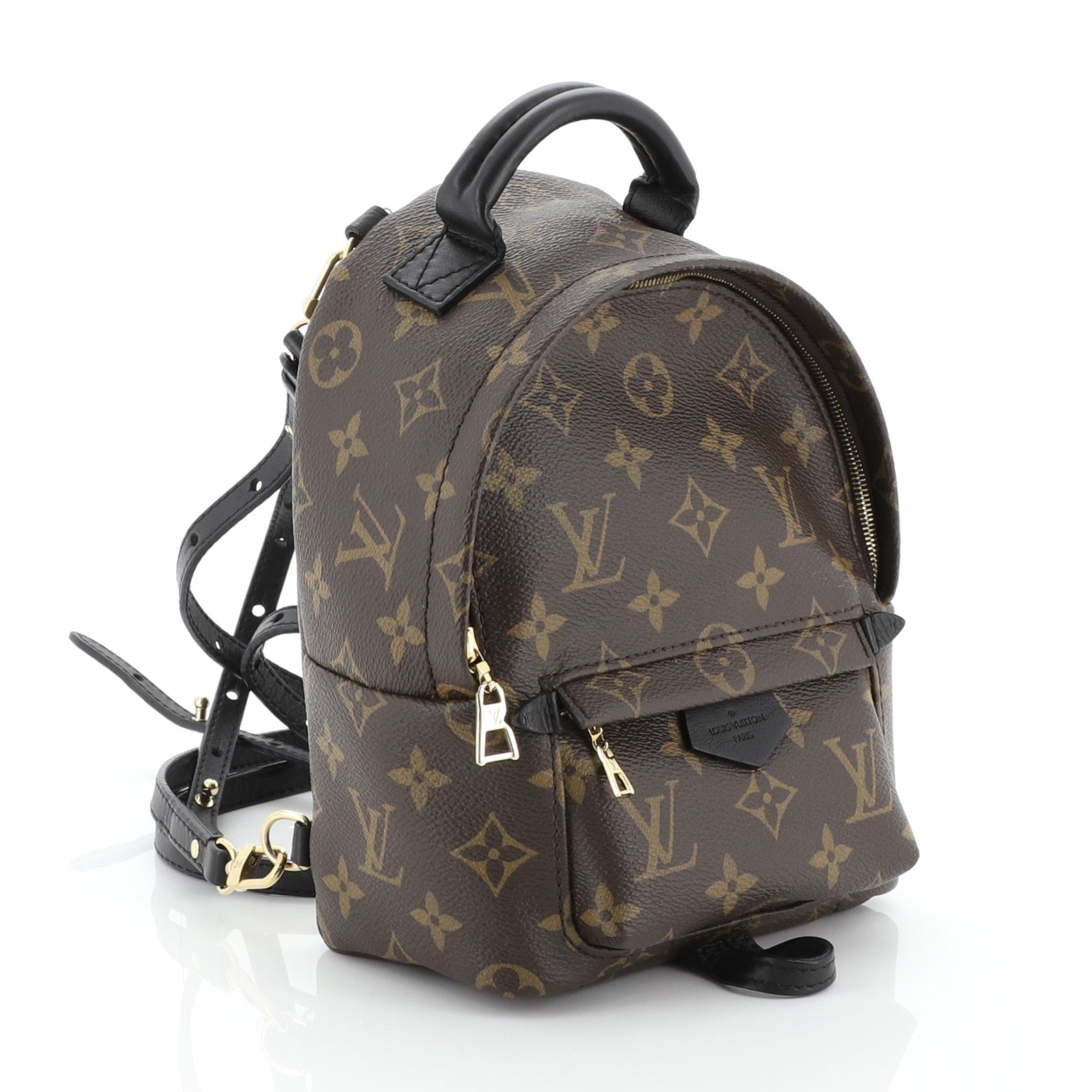 Palm Springs Backpack Monogram Canvas Mini