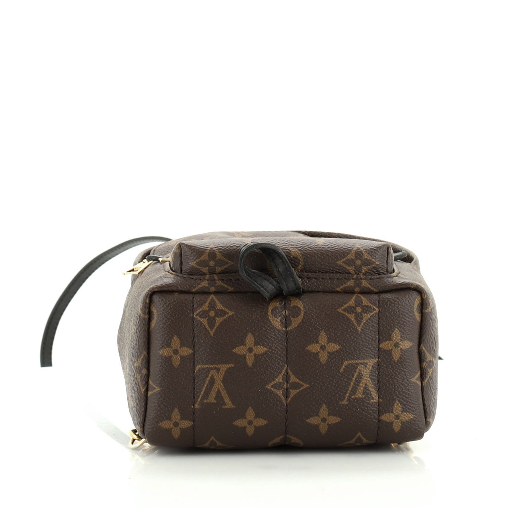 Palm Springs Backpack Monogram Canvas Mini