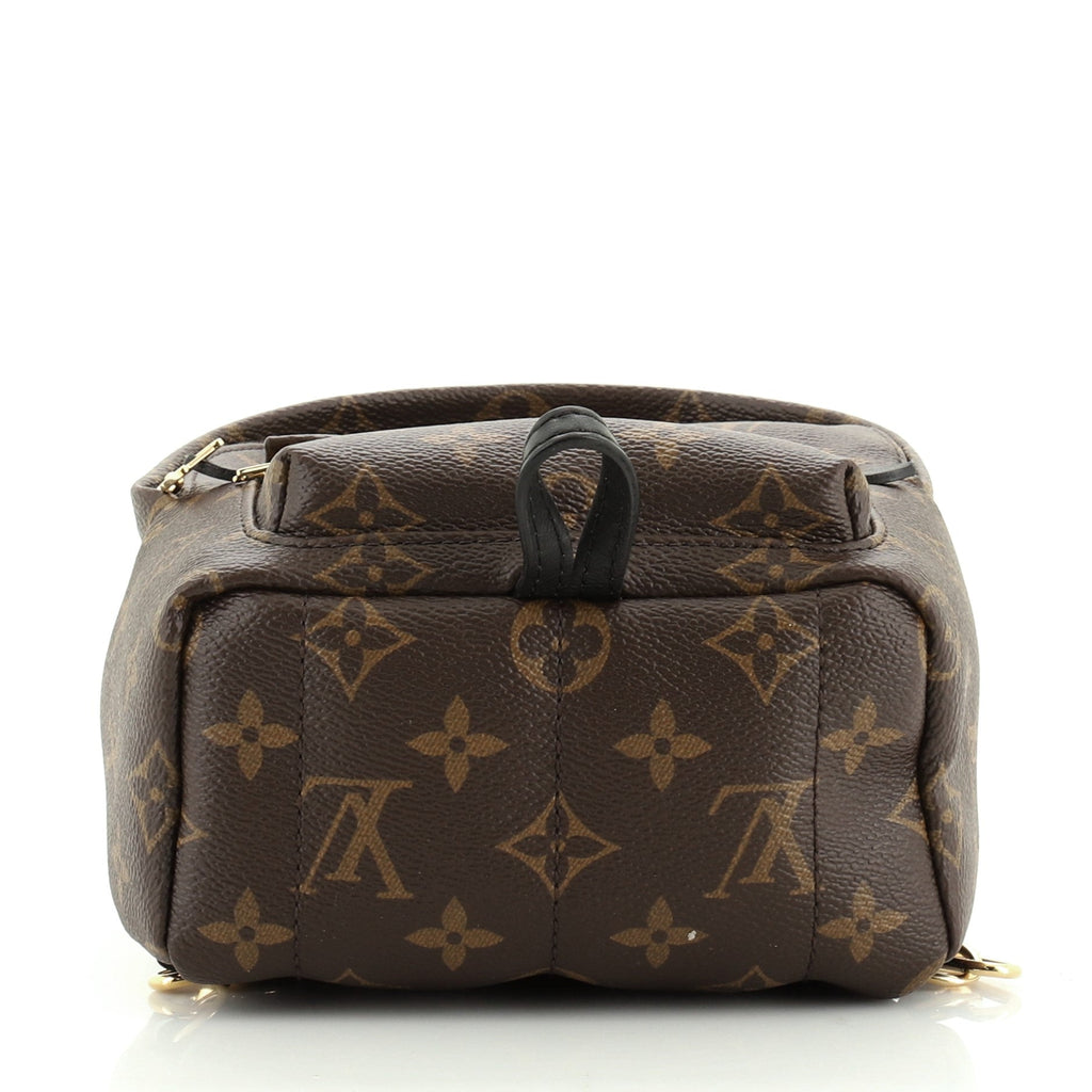 Palm Springs Backpack Monogram Canvas Mini