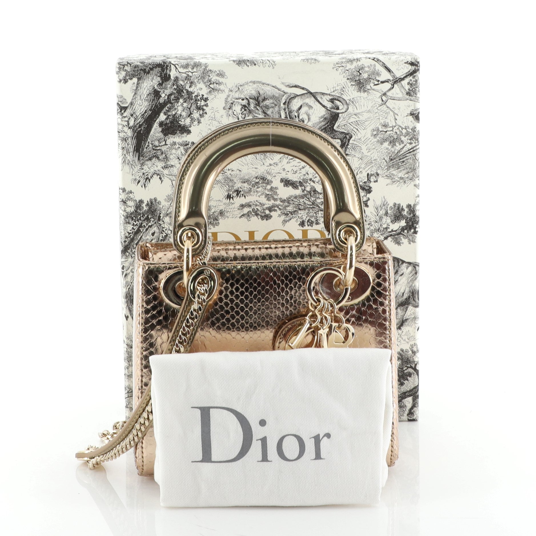 Lady Dior Bag Python Mini