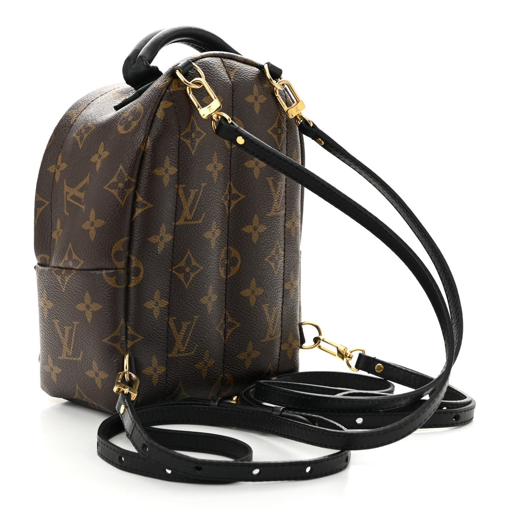 Monogram Palm Springs Backpack Mini