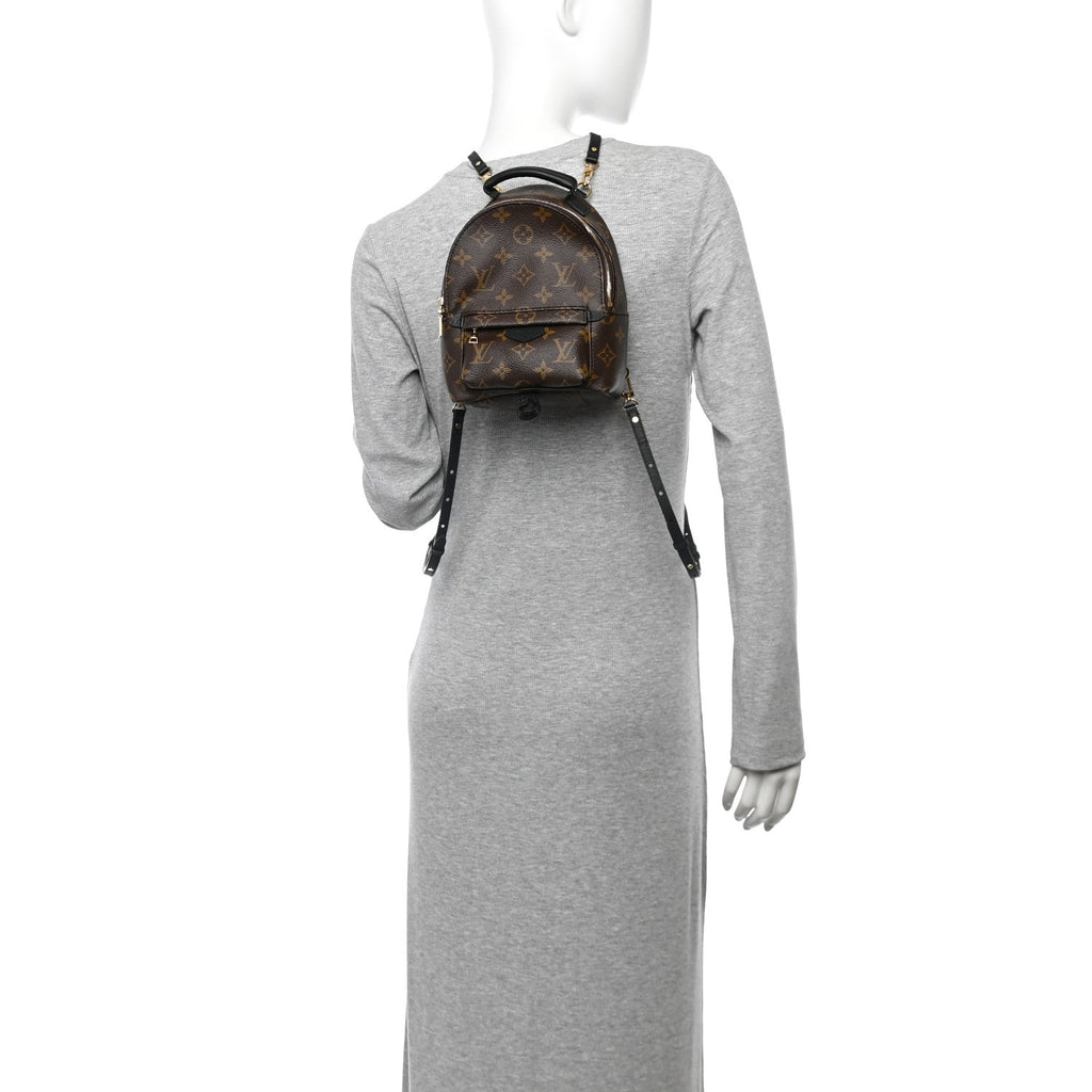 Monogram Palm Springs Backpack Mini