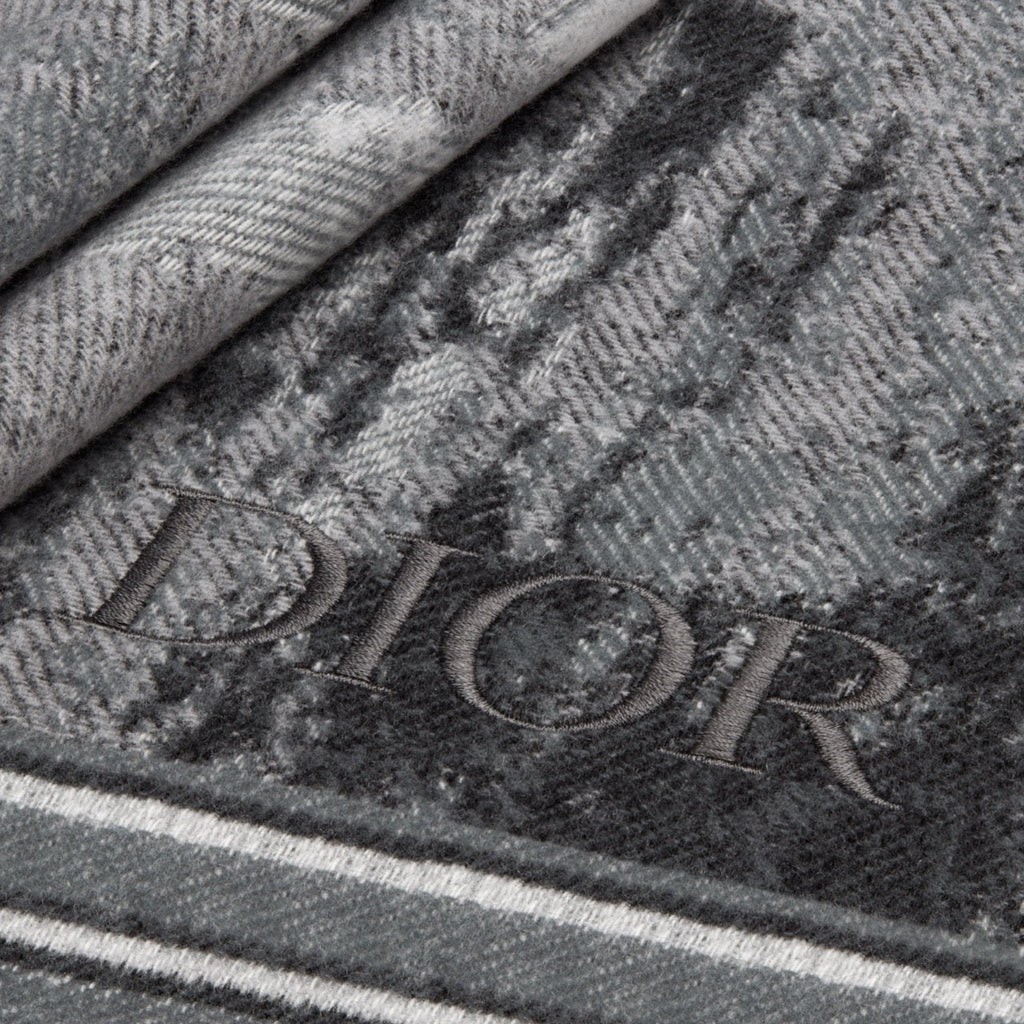 Christian Dior x Peter Doig Blanket Scarf