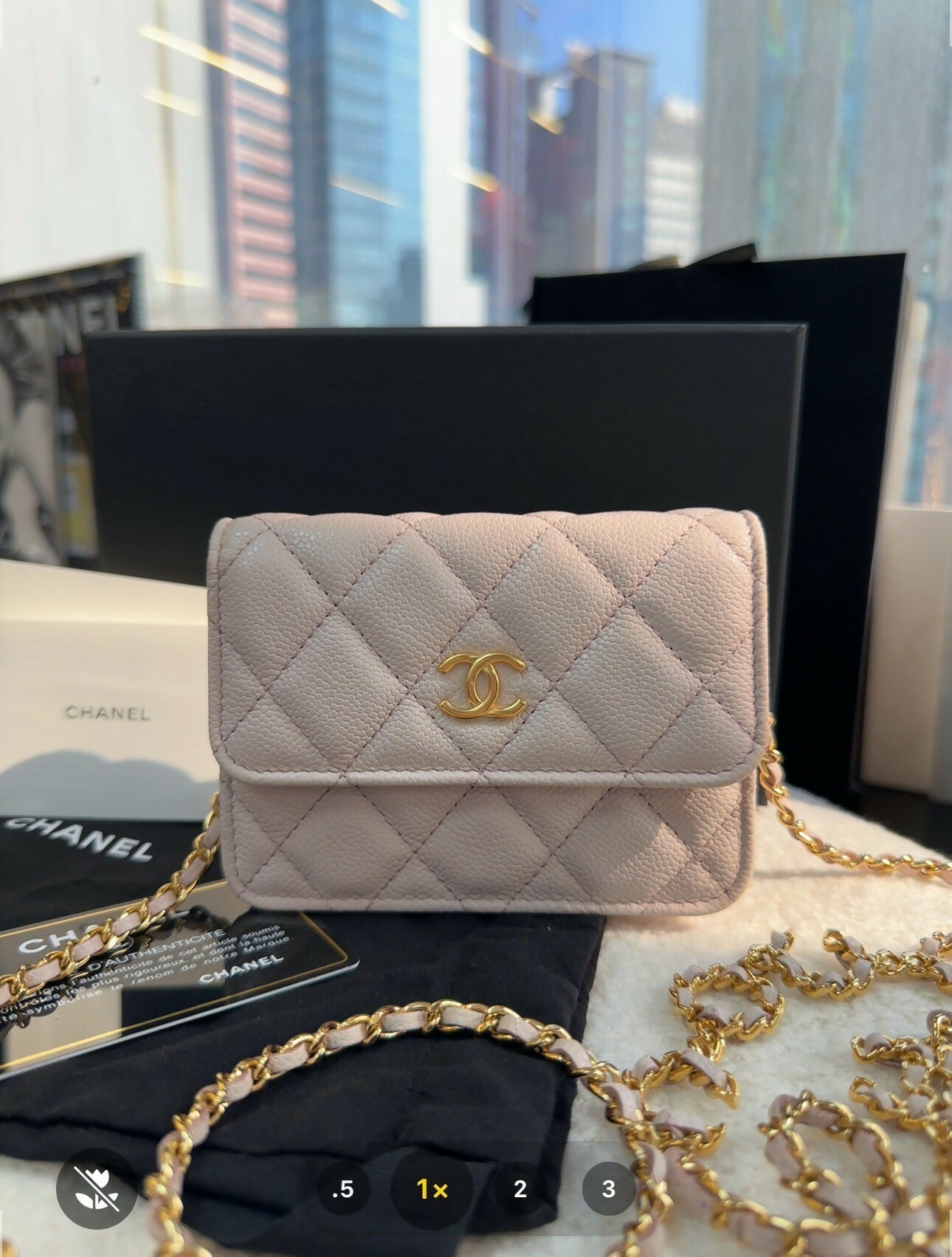 Chanel(21)Small Leather Coco Chain Bag