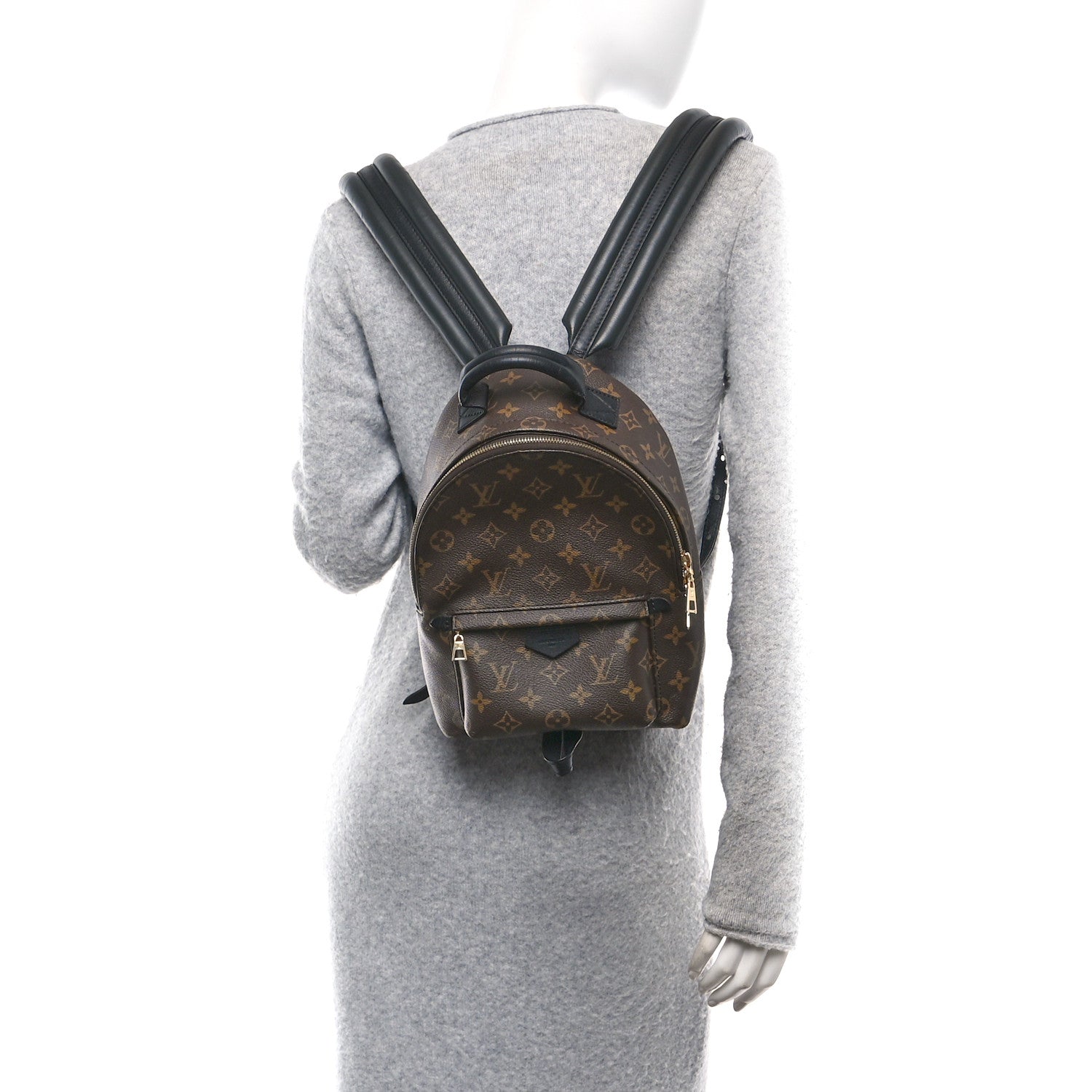 Monogram Palm Springs Backpack PM
