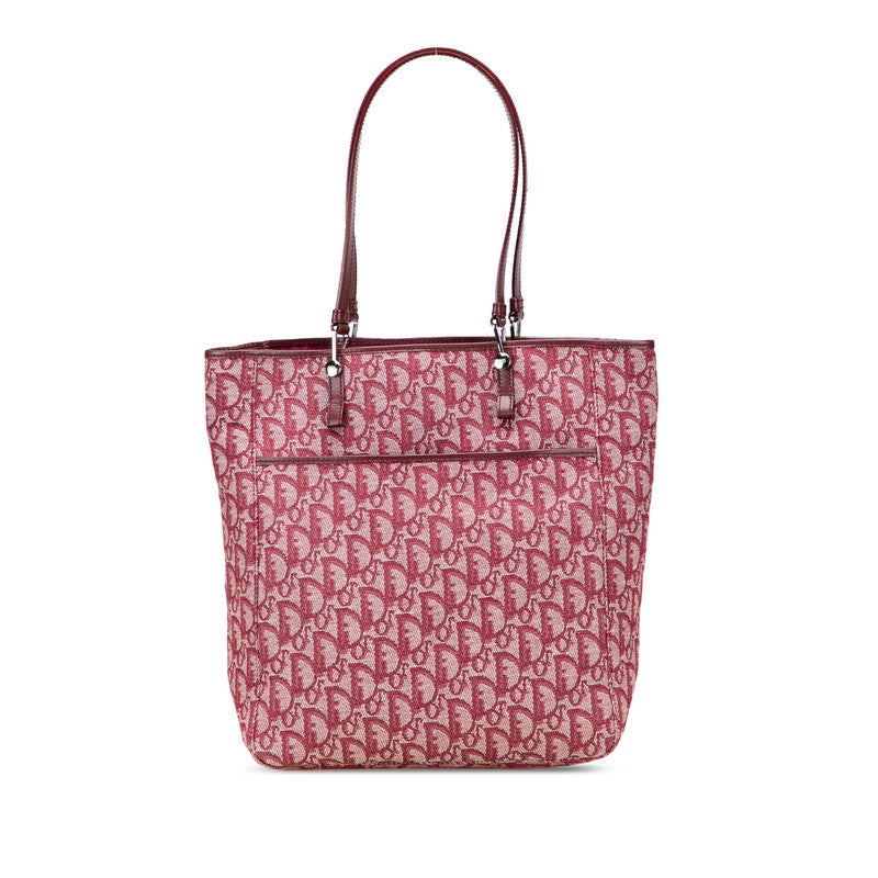 Dior Trotter Canvas Leather 2way Bag